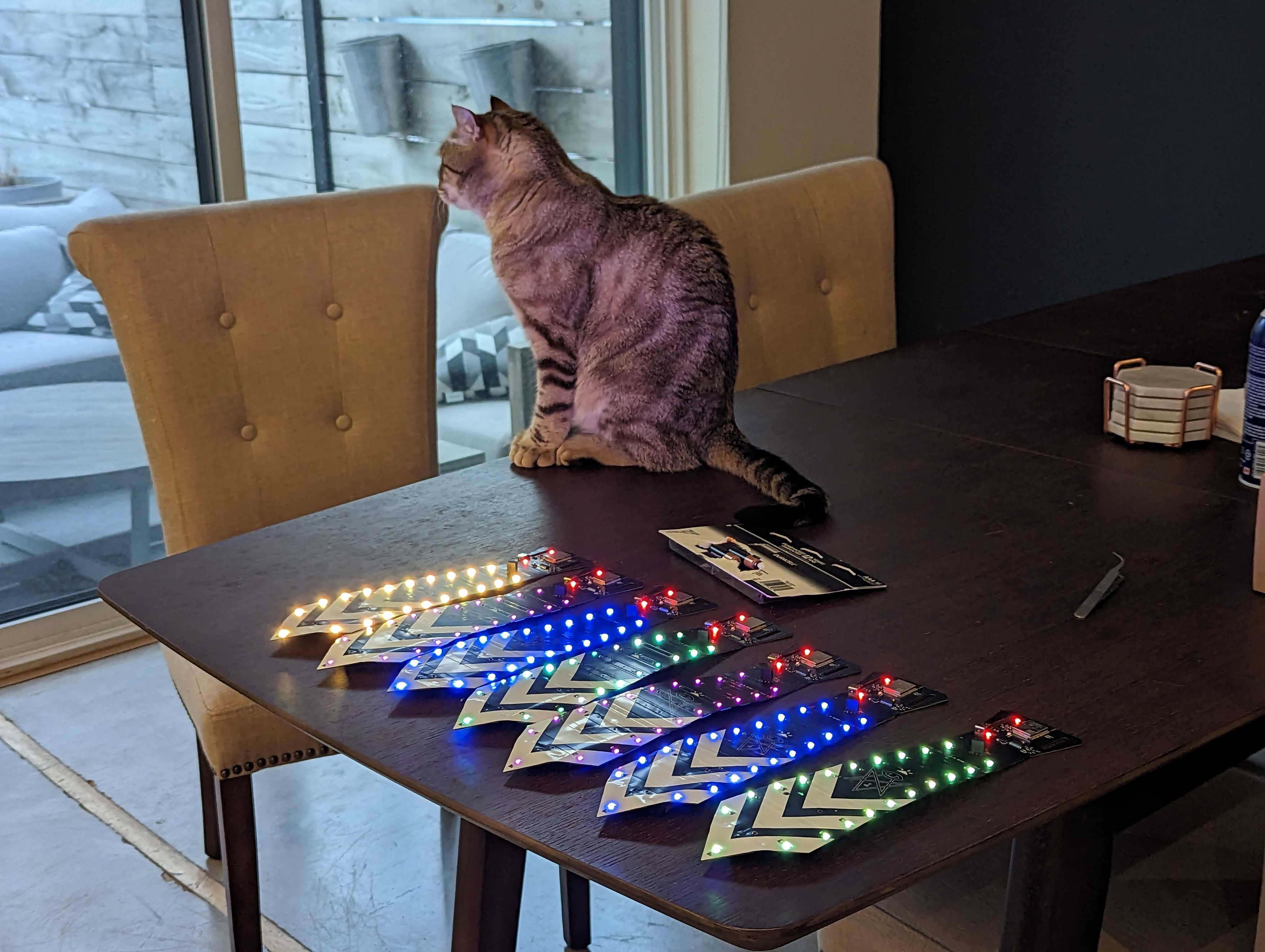 Cat and badges